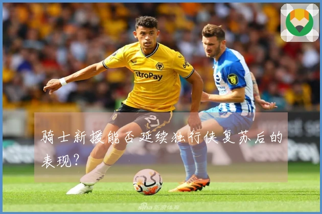 骑士新援能否延续独行侠复苏后的表现？